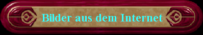 Bilder aus dem Internet